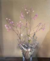 梨宝的照片
