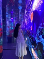 向往的天空的照片