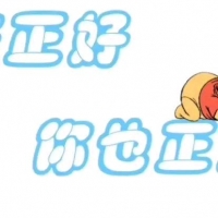 意外的邂逅的照片