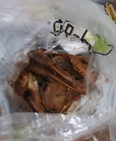 梨宝的照片