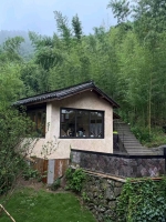 五月儿的照片