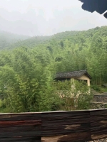 五月儿的照片