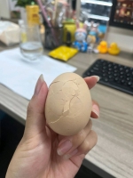 燕子123的照片