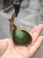 谈恋爱啊的照片
