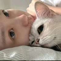 摆烂小鱼儿的照片