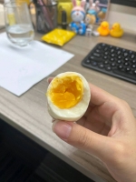 燕子123的照片