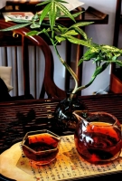 齐齐呀的照片