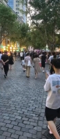 江湖人称南哥的照片