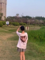 羞涩的木槿的照片
