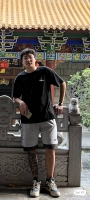 南京种满梧桐的照片