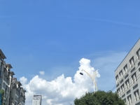 国寿打工人的照片