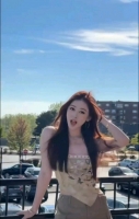 小百合的照片