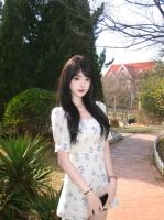 美丽樱桃的照片