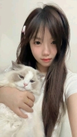 猫猫1234的照片