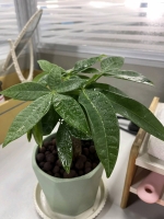 美少女小逸的照片