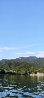 桃宝的照片