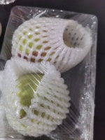梨宝的照片