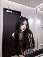 小海豚的照片