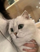 小玥儿z的照片