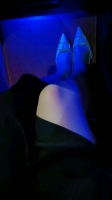 桃之夭夭吖的照片