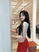 球球很爱玩的照片