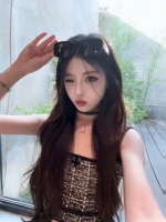 小海豚的照片