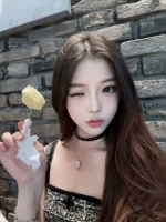小海豚的照片