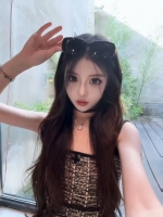小海豚的照片
