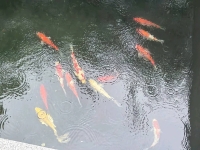 Janos的照片