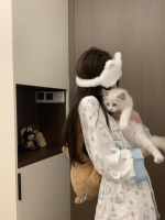 小柯溪的照片