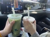 芝士小熊555的照片