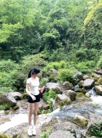 一个小板栗的照片