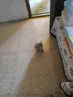 怡儿的照片