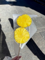 邓邓ya的照片