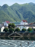 海归钢琴老师的照片