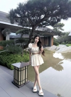 小海豚的照片