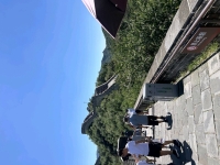 玉鱼欲的照片