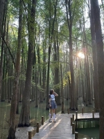 冰美咖的照片