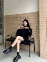 小海豚的照片