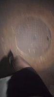 甜芯儿的照片