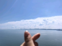 小心甘的照片