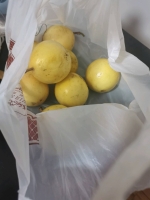觊觎美色的照片
