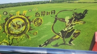 开奔驰偷葱的照片