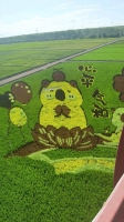开奔驰偷葱的照片