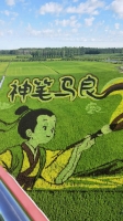 开奔驰偷葱的照片