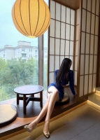小海豚的照片