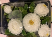 彤心的照片