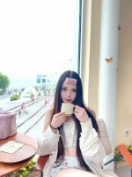 小海豚的照片