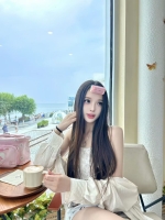 小海豚的照片