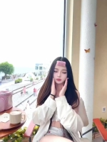 小海豚的照片